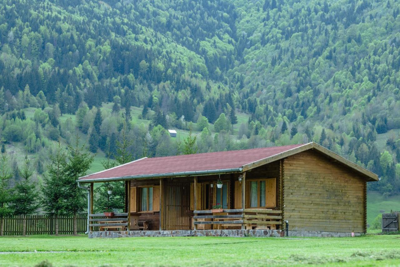 Biotour Camping & Restaurant Ghimeş-Făget Exteriér fotografie